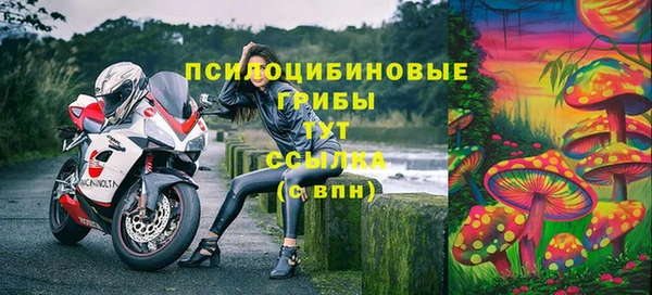 гидропоника Балабаново