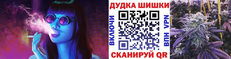 купить  цена  Судак  Канабис ГИДРОПОН 